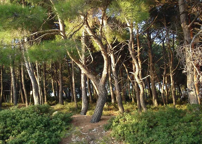 Holiday Home In Pula - Istrien 11083 Pula